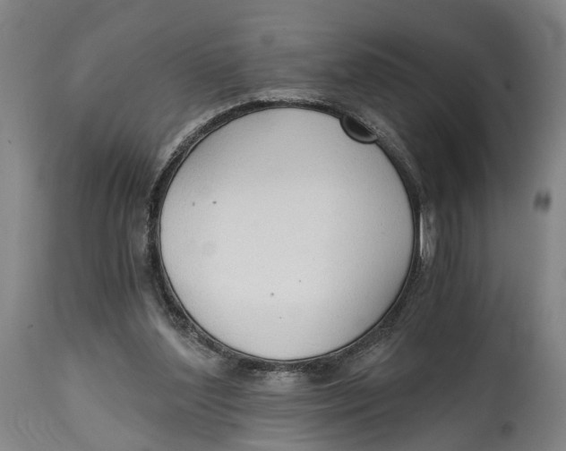 X0000114590204200911161339