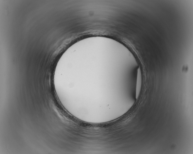 X0000114590205200911161339