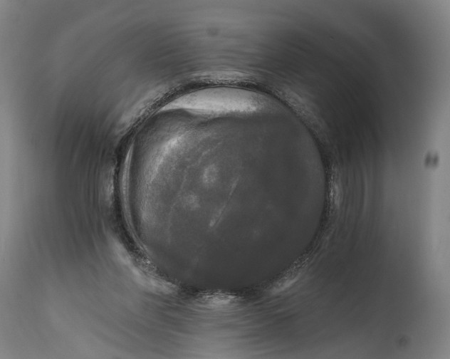 X0000114590206200911161339