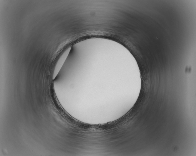 X0000114590207200911161339