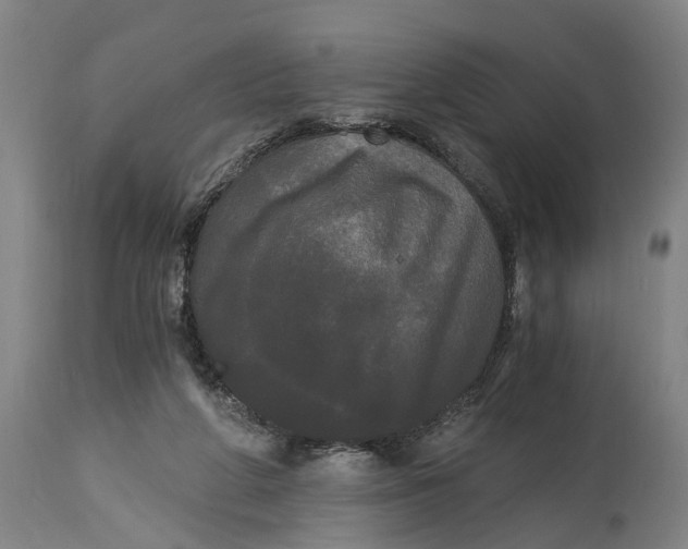 X0000114590210200911161338