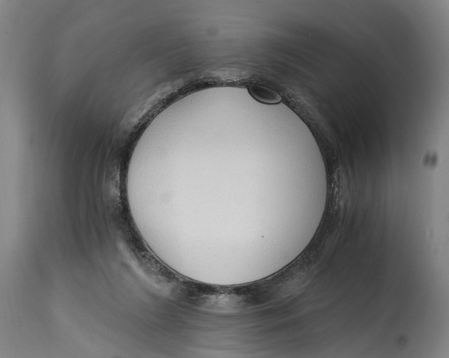 X0000114590212200911161338