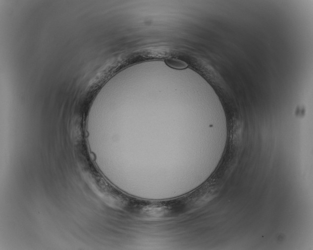 X0000114590213200911161338