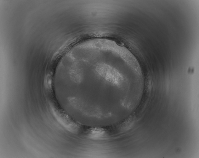 X0000114590214200911161338