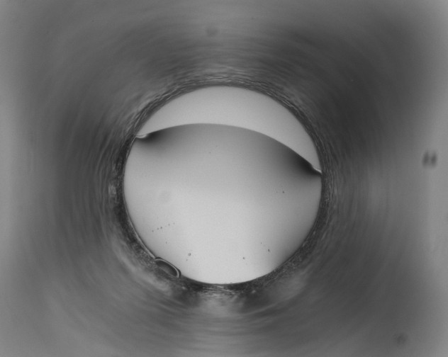 X0000114590215200911161338