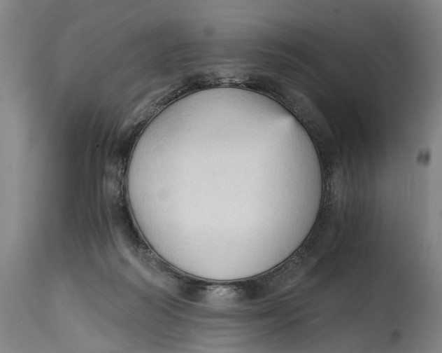 X0000114590218200911161338