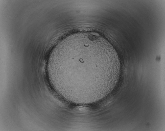 X0000114590219200911161338