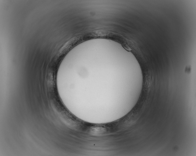 X0000114590220200911161338