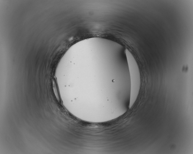 X0000114590221200911161338