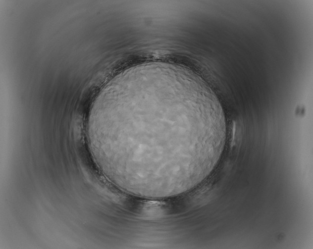 X0000114590222200911161338