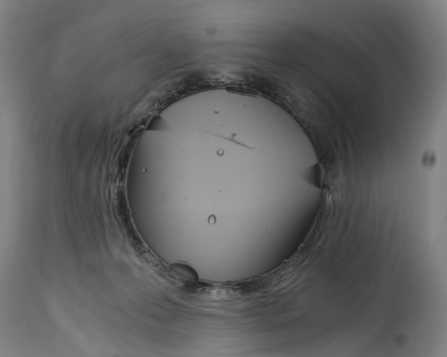 X0000114590223200911161338