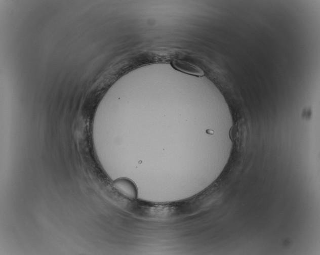 X0000114590225200911161338