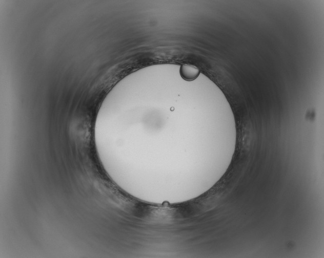X0000114590226200911161338