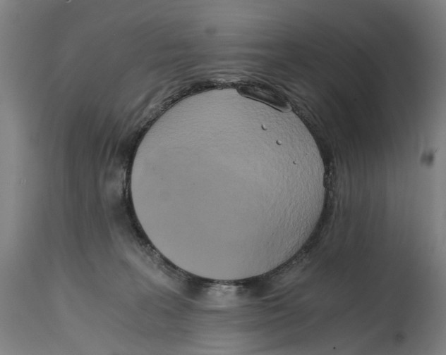 X0000114590227200911161338