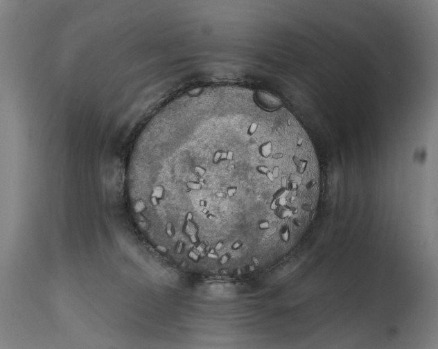 X0000114590228200911161338