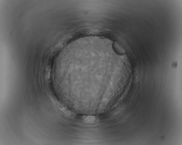 X0000114590230200911161338