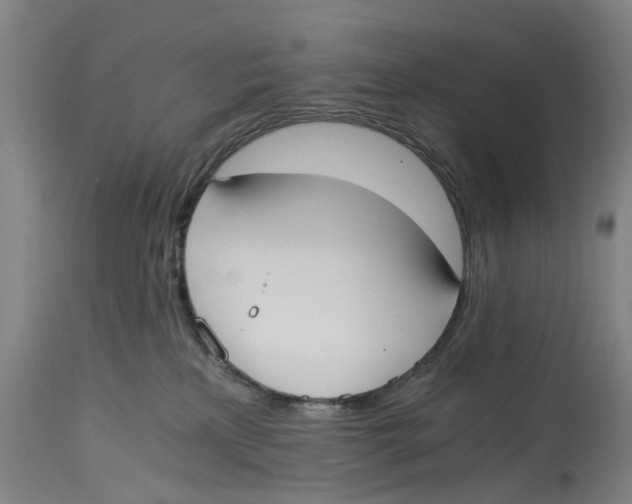 X0000114590233200911161338