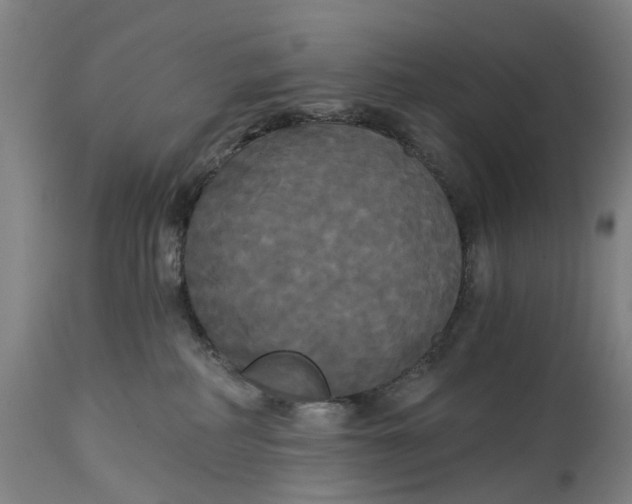 X0000114590234200911161338