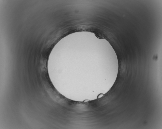 X0000114590236200911161338