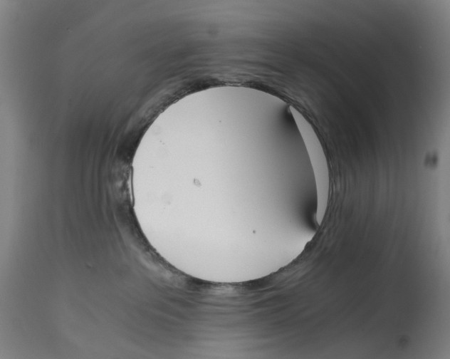 X0000114590237200911161338
