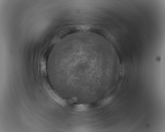 X0000114590238200911161338