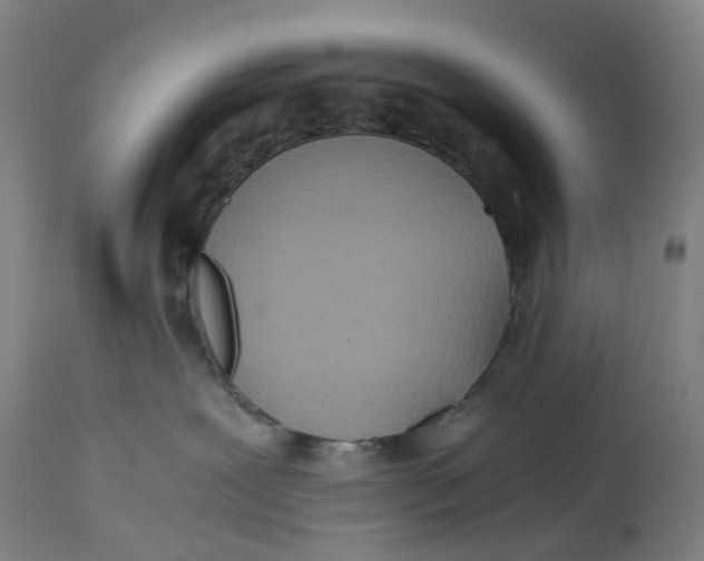 X0000114590239200911161338