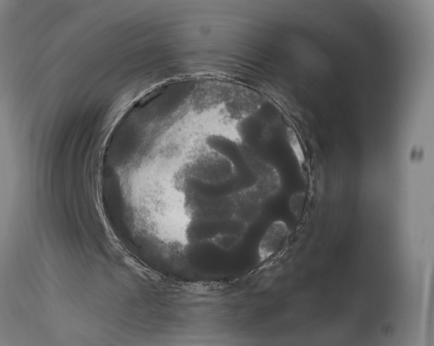 X0000114590241200911161337