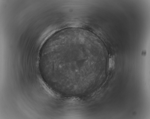 X0000114590243200911161337