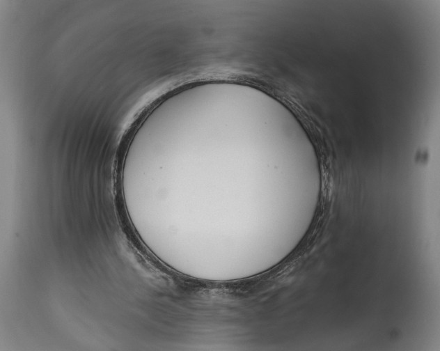 X0000114590244200911161337