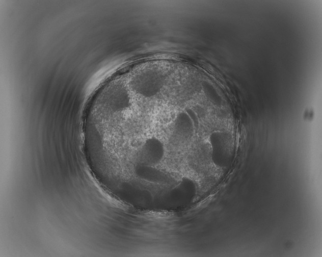 X0000114590245200911161337