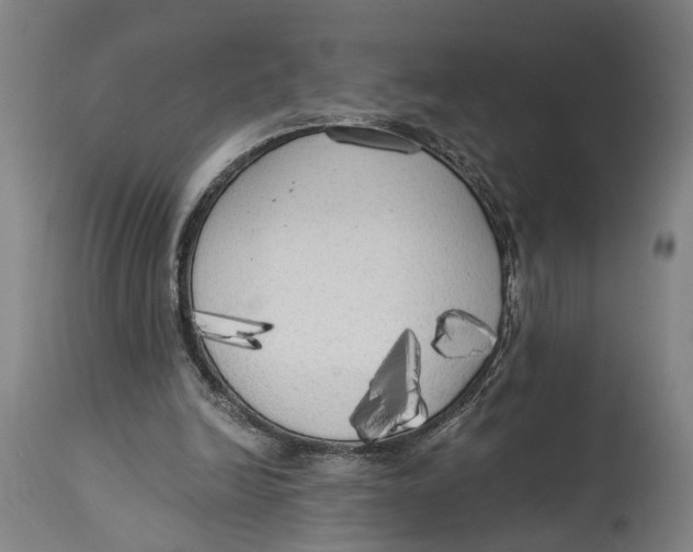 X0000114590246200911161337