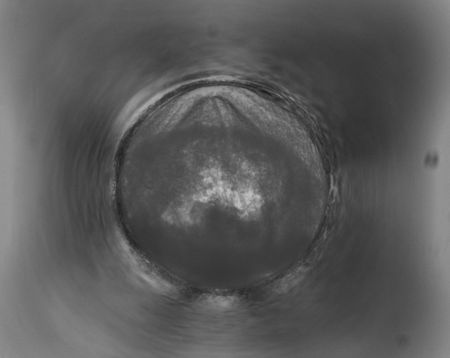 X0000114590247200911161337