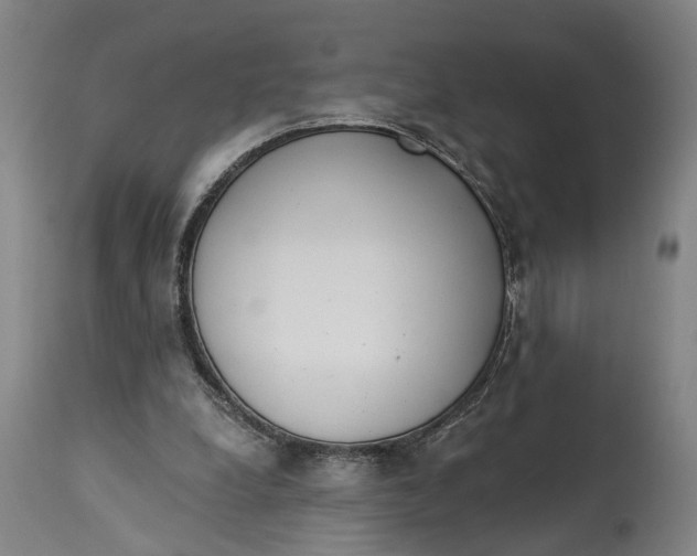 X0000114590248200911161337