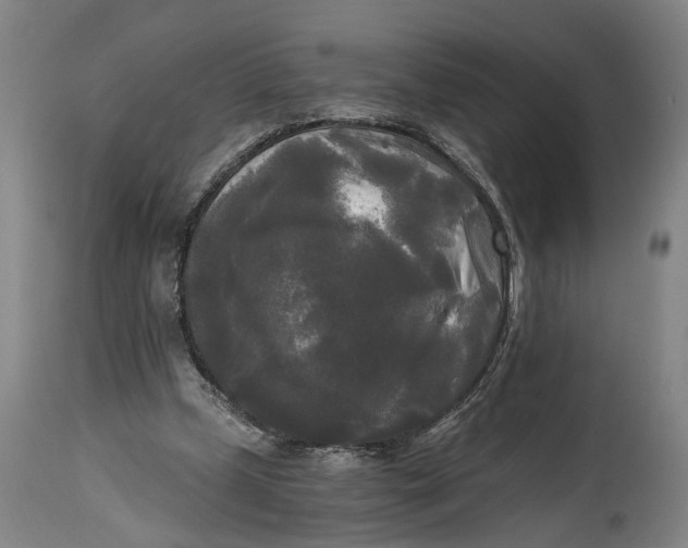 X0000114590249200911161337