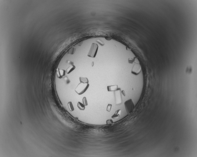 X0000114590250200911161338