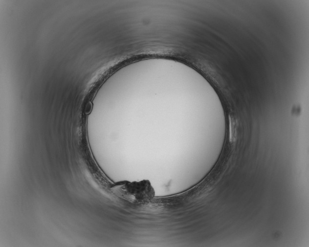 X0000114590252200911161338