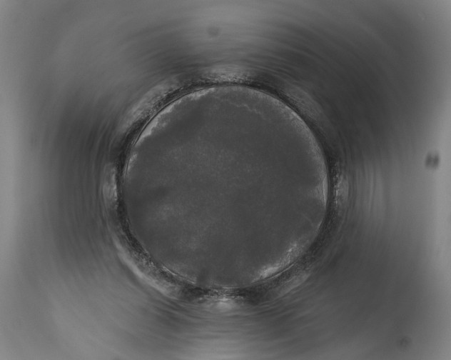 X0000114590254200911161338