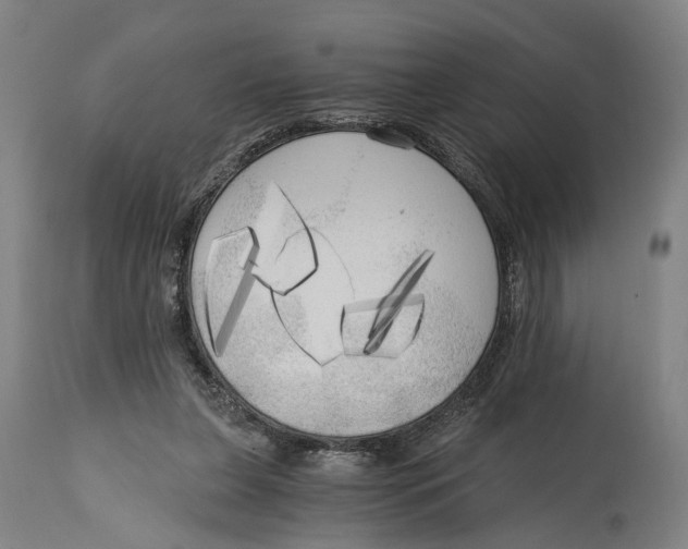 X0000114590255200911161338