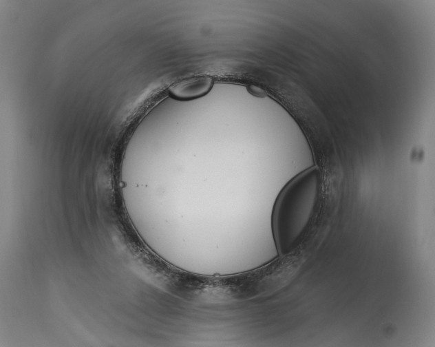 X0000114590256200911161338