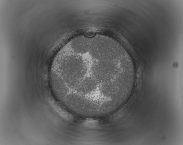 X0000114590257200911161338