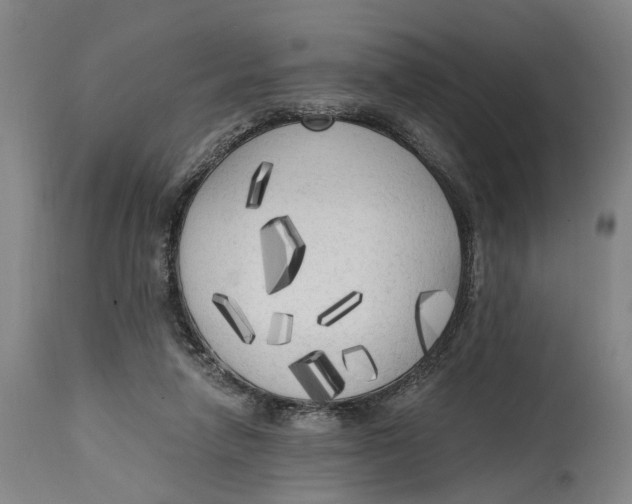 X0000114590258200911161338