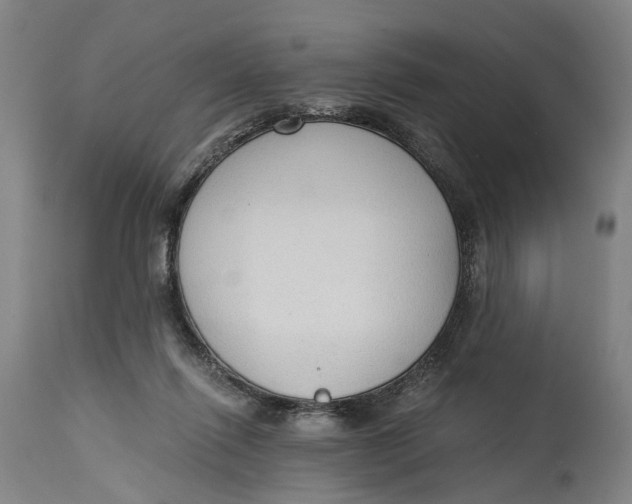 X0000114590262200911161338