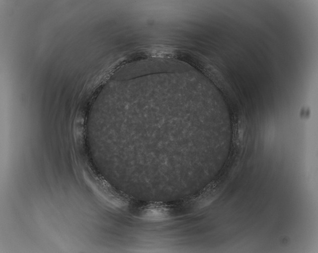 X0000114590263200911161338