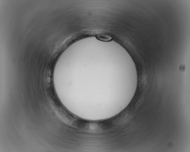 X0000114590264200911161338