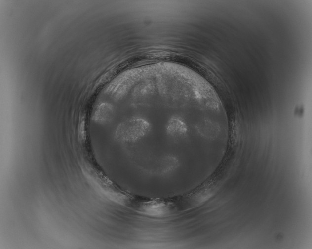 X0000114590267200911161338