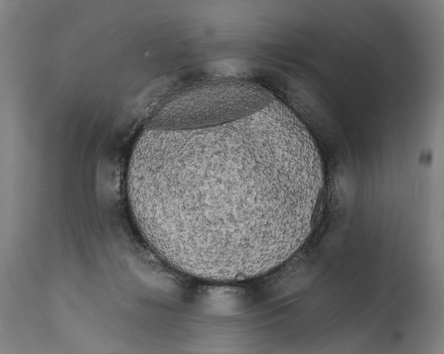 X0000114590268200911161338