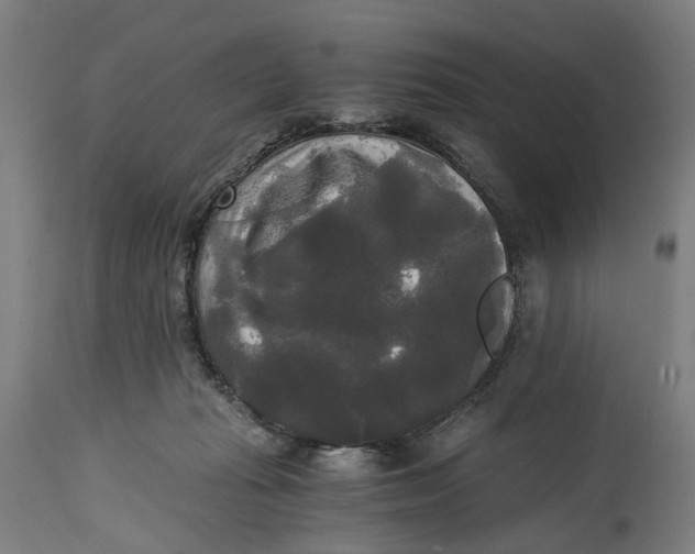X0000114590269200911161338