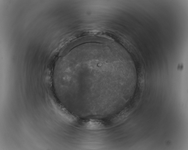 X0000114590270200911161338