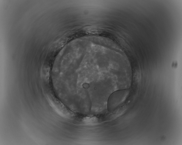 X0000114590271200911161338