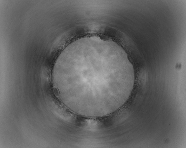 X0000114590272200911161338